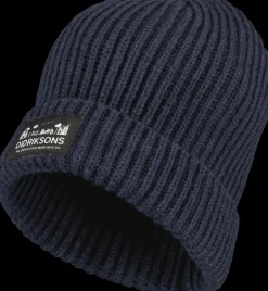 Online Didriksons Bus Kids' Beanie Navy