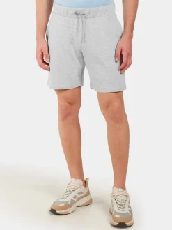 Best Didriksons Fejan Shorts Aluminum melange