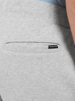 Best Didriksons Fejan Shorts Aluminum melange