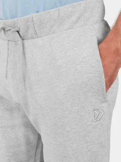 Best Didriksons Fejan Shorts Aluminum melange