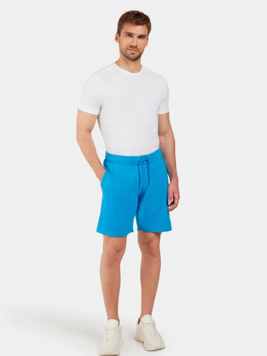 Discount Didriksons Fejan Shorts Sharp blue
