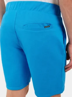 Discount Didriksons Fejan Shorts Sharp blue