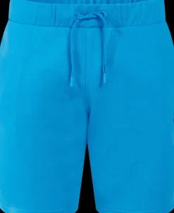 Discount Didriksons Fejan Shorts Sharp blue