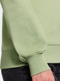 Online Didriksons Ven Women's Hoodie Soft Green